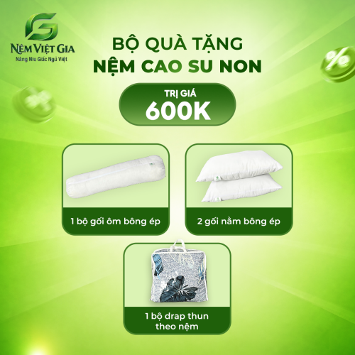 NỆM CAO SU NON VIỆT GIA