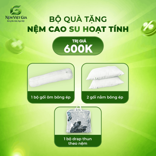 NỆM CAO SU HOẠT TÍNH VIỆT GIA