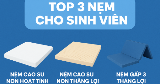 Các dòng nệm phù hợp với giá tiền sinh viên – Giấc ngủ ngon cùng Nệm Việt Gia