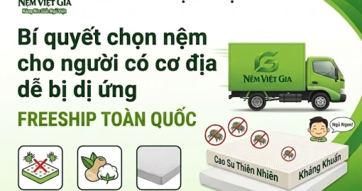 Bí Quyết Chọn Nệm Cho Người Có Cơ Địa Dễ Bị Dị Ứng