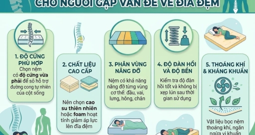 Gợi Ý Chọn Nệm Trị Liệu Cho Người Gặp Vấn Đề Về Đĩa Đệm