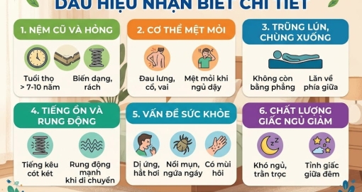 Khi Nào Cần Thay Nệm Mới? Dấu Hiệu Nhận Biết Chi Tiết