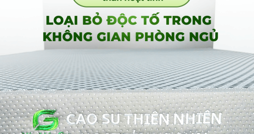 Kinh Nghiệm Chọn Nệm Cao Su Thiên Nhiên 100% Bền Bỉ 20 Năm