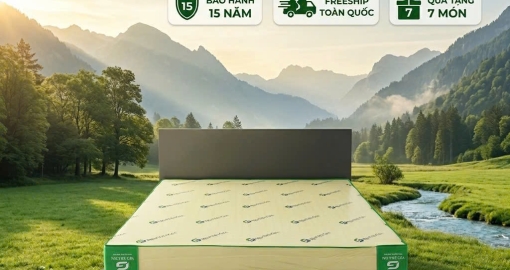 Nệm cao su non giá rẻ? Mua nệm cao su non giá rẻ chính hãng Việt Gia