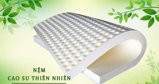 Các loại nệm cao su tốt nhất hiện nay? Chọn nệm cho giấc ngủ vàng của gia đình